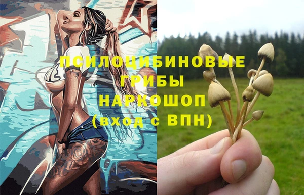 СК Аркадак