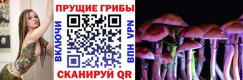 гидра онион  где купить   Кувшиново  Галлюциногенные грибы GOLDEN TEACHER 