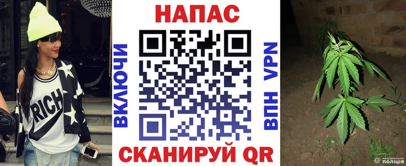 Бошки марихуана Bruce Banner  Кувшиново 